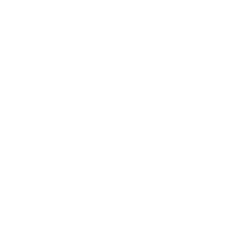 RS HOLDİNG Logo